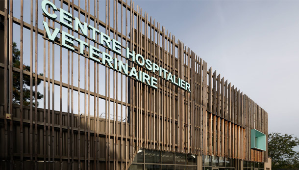 centre hospitalier vétériaire des cordeliers